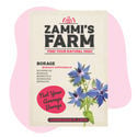 Buddy Pack de Borraja (Borago officinalis)