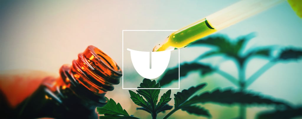 Tinturas De Cannabis