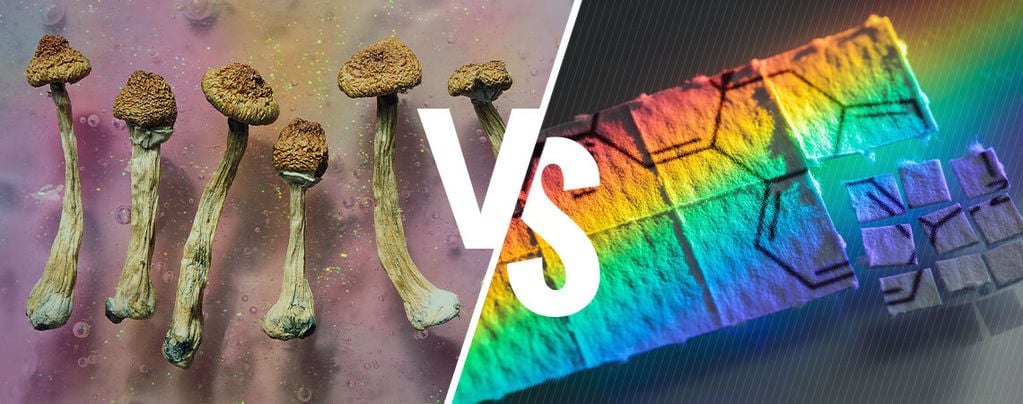 Setas Alucinógenas Vs LSD: ¿En Qué Se Diferencian?