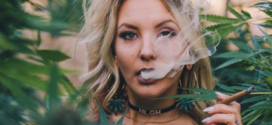 Cannabis y la era digital: los influencers que redefinen el sector